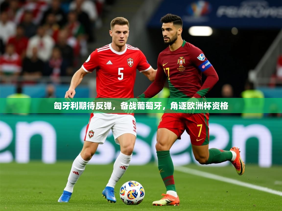 2025九游娱乐(中国)官方网站匈牙利期待反弹，备战葡萄牙，角逐欧洲杯资格