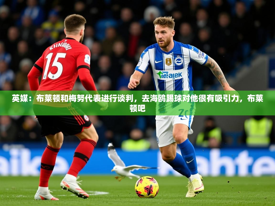 2025九游娱乐靠谱吗英媒：布莱顿和梅努代表进行谈判，去海鸥踢球对他很有吸引力，布莱顿吧