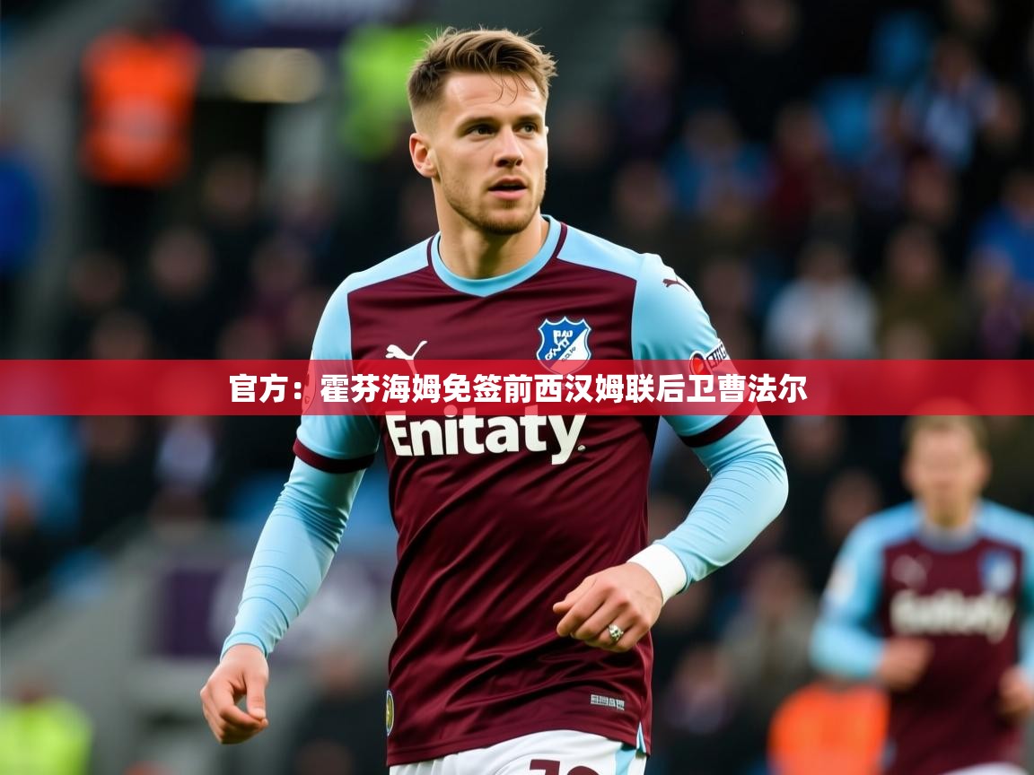 2025九游娱乐官网入口网页版官方：霍芬海姆免签前西汉姆联后卫曹法尔  第1张