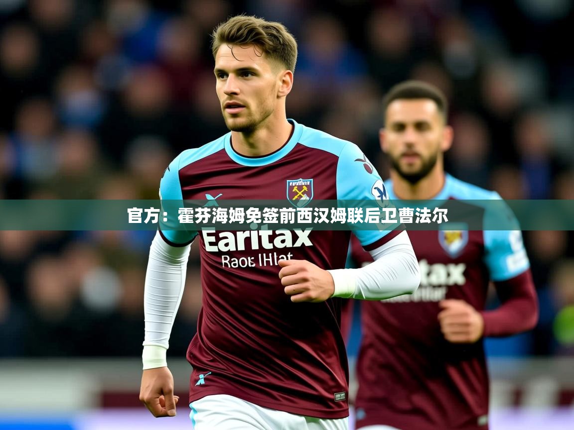 2025九游娱乐官网入口网页版官方：霍芬海姆免签前西汉姆联后卫曹法尔  第2张