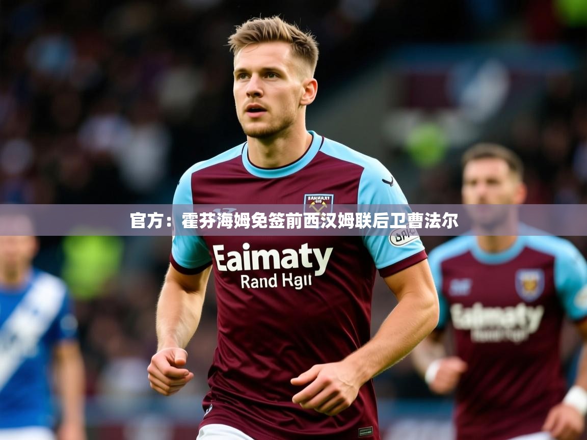 2025九游娱乐官网入口网页版官方：霍芬海姆免签前西汉姆联后卫曹法尔  第3张