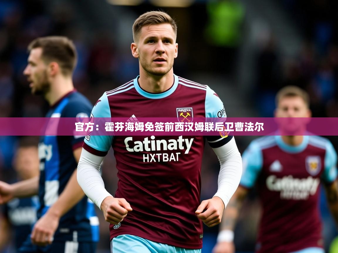 2025九游娱乐官网入口网页版官方：霍芬海姆免签前西汉姆联后卫曹法尔  第4张