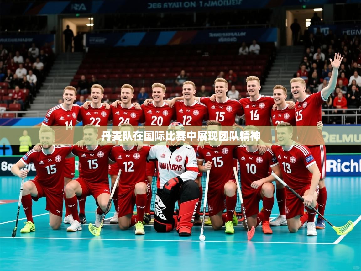 2026九游娱乐官网登录入口丹麦队在国际比赛中展现团队精神  第3张
